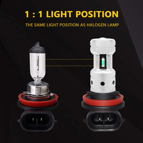 PHINLION bulb beside a coin illustrating compact size and fit