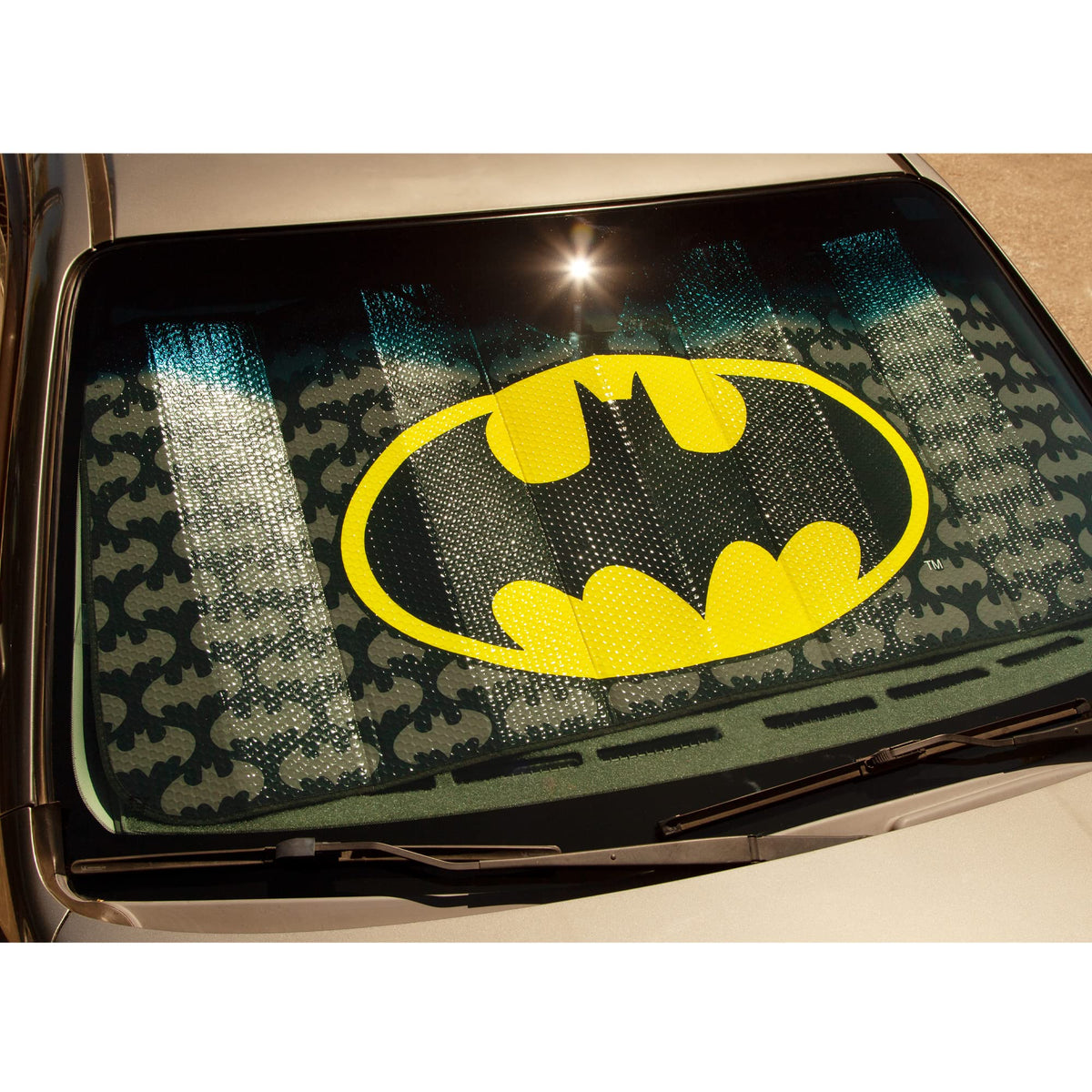 Plasticolor in use on car windshield demonstrating easy installation and interior protection