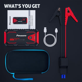 Povasee in protective carrying case offering organized transport benefit