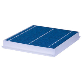 Premium Guard filter next to ruler showing correct size and fitment