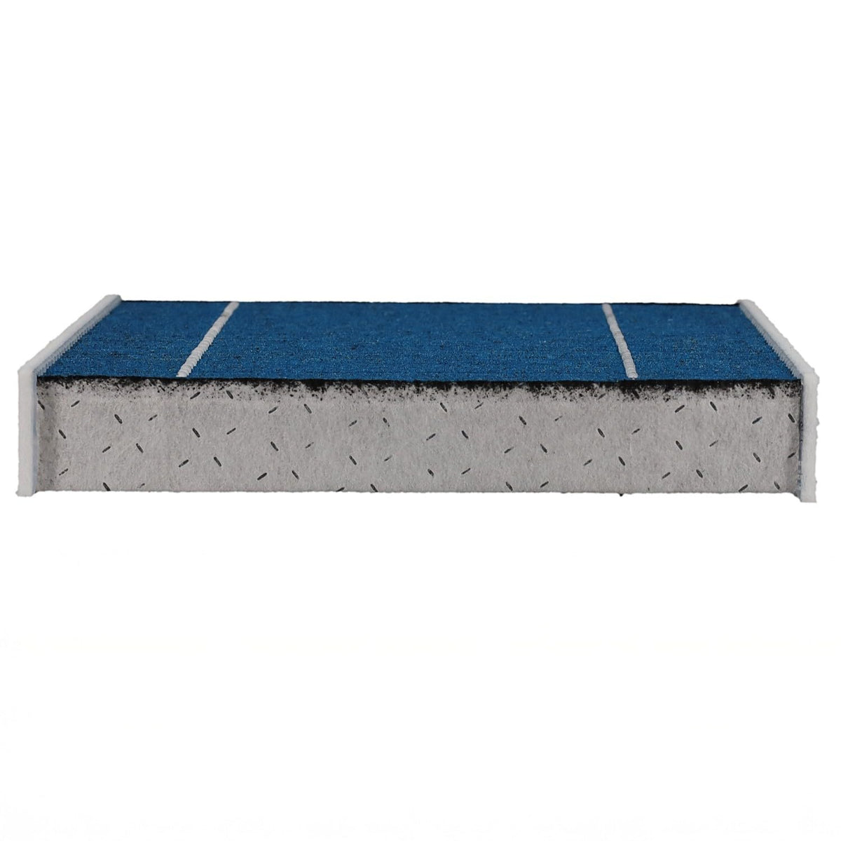 Premium Guard next to ruler showing exact filter dimensions and scale