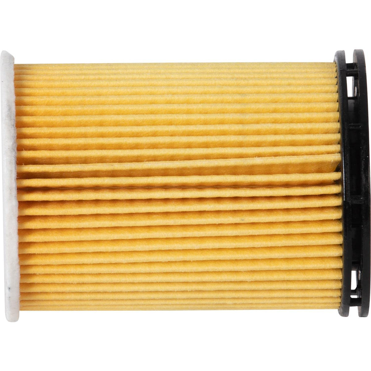 Premium Guard beside ruler showing compact size and easy storage benefit