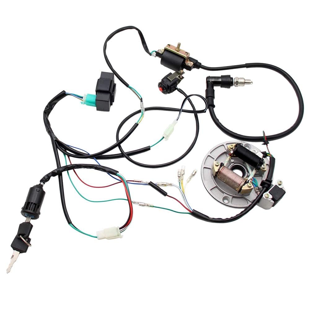 PRO BAT CDI unit and coil displayed to show compact ignition components