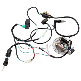 PRO BAT CDI unit and coil displayed to show compact ignition components