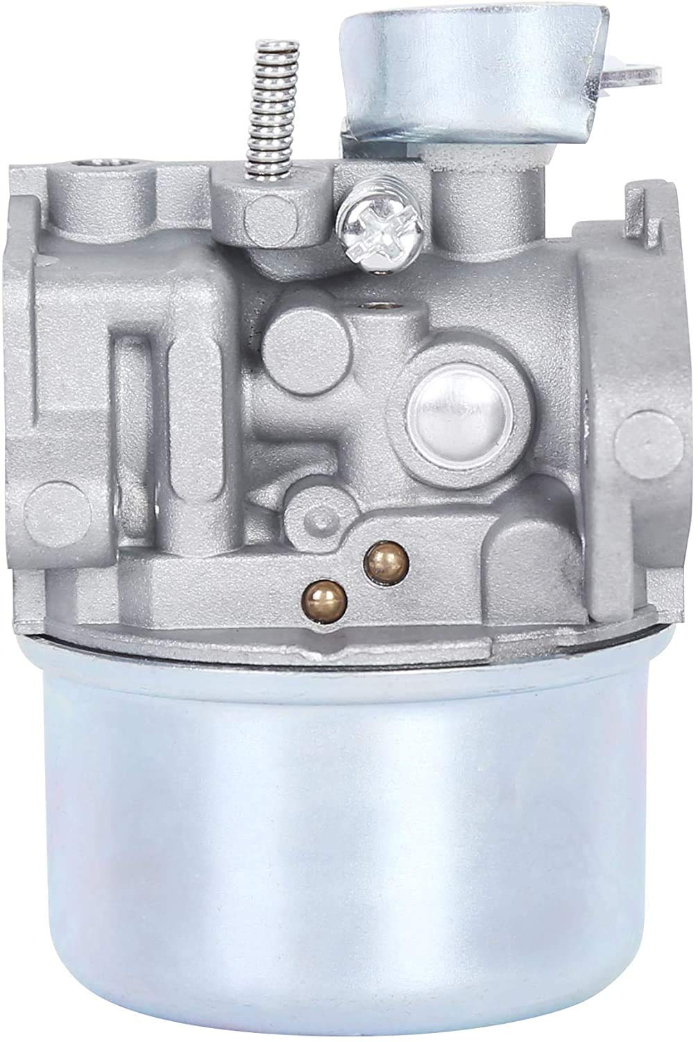 Pro Chaser carburetor installed on Briggs Stratton Intek engine demonstrating fit