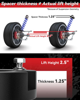 PROEZE installed on Tacoma front showing leveled stance and increased ground clearance