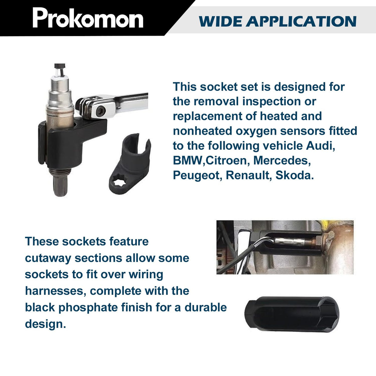 Prokomon sockets laid next to ruler for length and reach comparison and accuracy