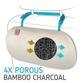 PURGGO bamboo charcoal granules close-up illustrating high-porosity adsorption