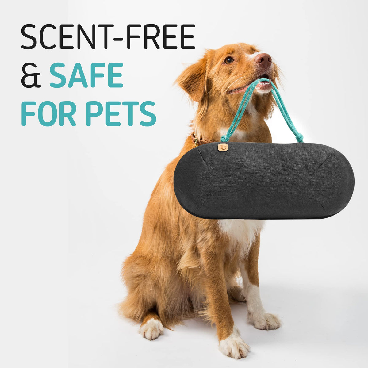 PURGGO seated in a car cupholder providing continuous fragrance-free freshness