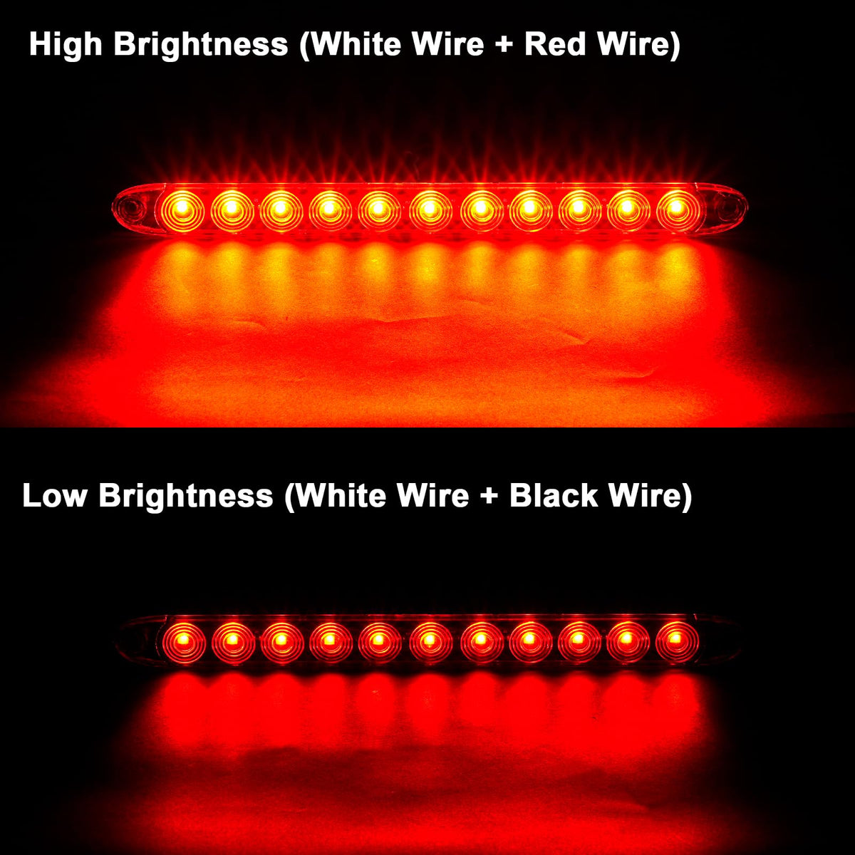PVerandio close-up of LED cluster revealing 11 LEDs and durable lens for long-lasting light