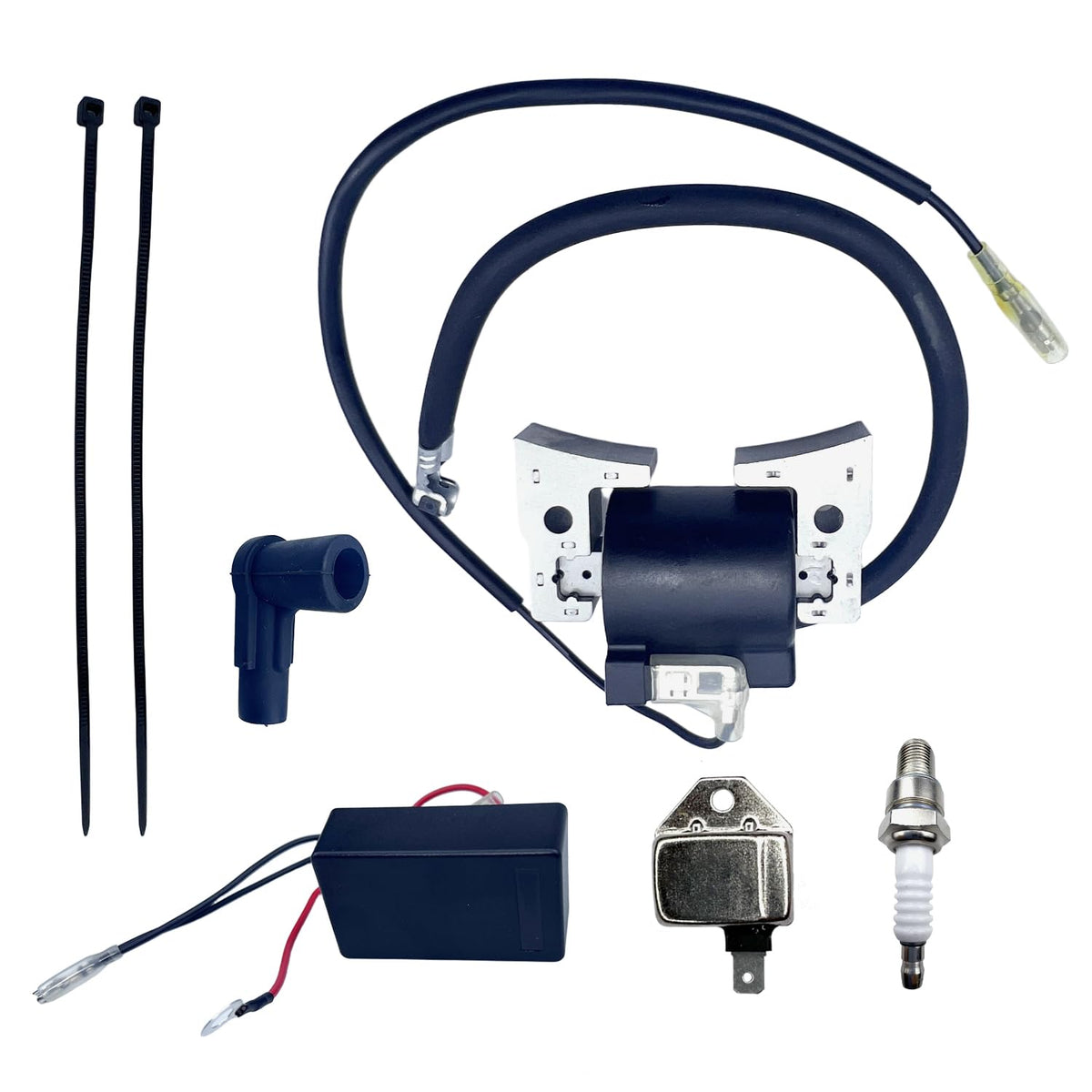 QINLANAP complete ignition kit front view showing all included parts and benefit of convenience