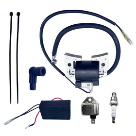 QINLANAP complete ignition kit front view showing all included parts and benefit of convenience