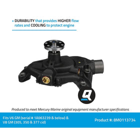 Quicksilver pump with gaskets alongside ruler showing compact size and completeness