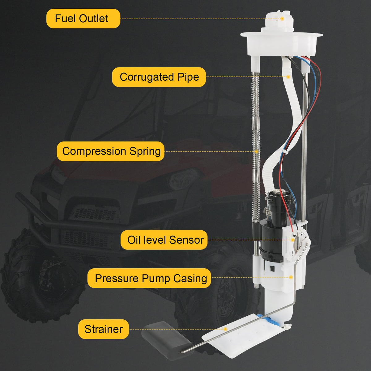 RALZAOTO wiring and plug close-up illustrating correct electrical hookup