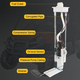 RALZAOTO wiring and plug close-up illustrating correct electrical hookup