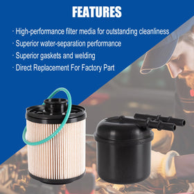 RARAYC fuel filter close-up revealing filtration element that protects injectors