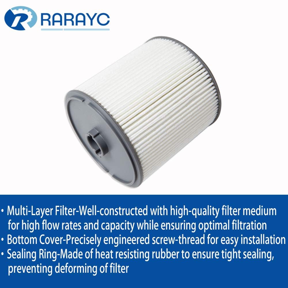 RARAYC garage installation scene showing a mechanic replacing Ecodiesel filter for timely maintenance