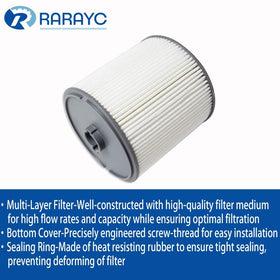 RARAYC garage installation scene showing a mechanic replacing Ecodiesel filter for timely maintenance