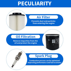 RARAYC oil filter detail showing construction and contaminant trapping