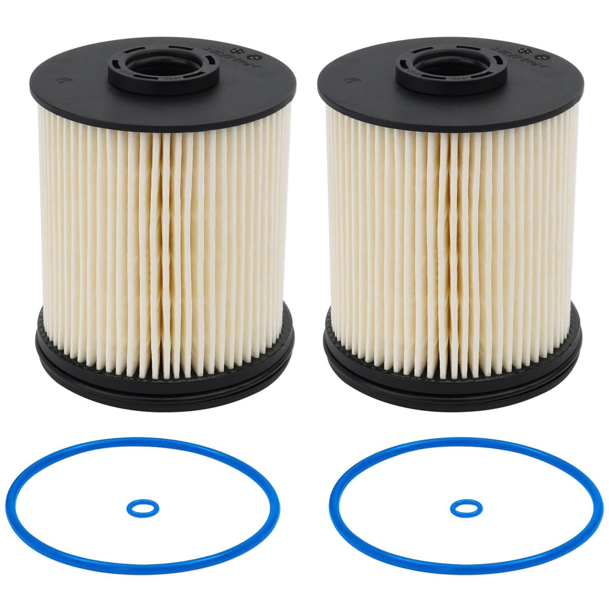 RARAYC TP1015 front packaging showing two fuel filters and brand clarity beneficial for quick identification