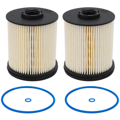 RARAYC TP1015 front packaging showing two fuel filters and brand clarity beneficial for quick identification