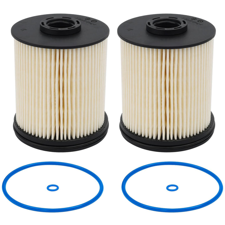 RARAYC TP1015 front packaging showing two fuel filters and brand clarity beneficial for quick identification