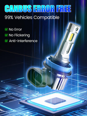 RCJ bulbs in vehicle scene illustrating clearer night driving