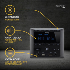 RecPro side ports with HDMI and RCA for versatile audio connections