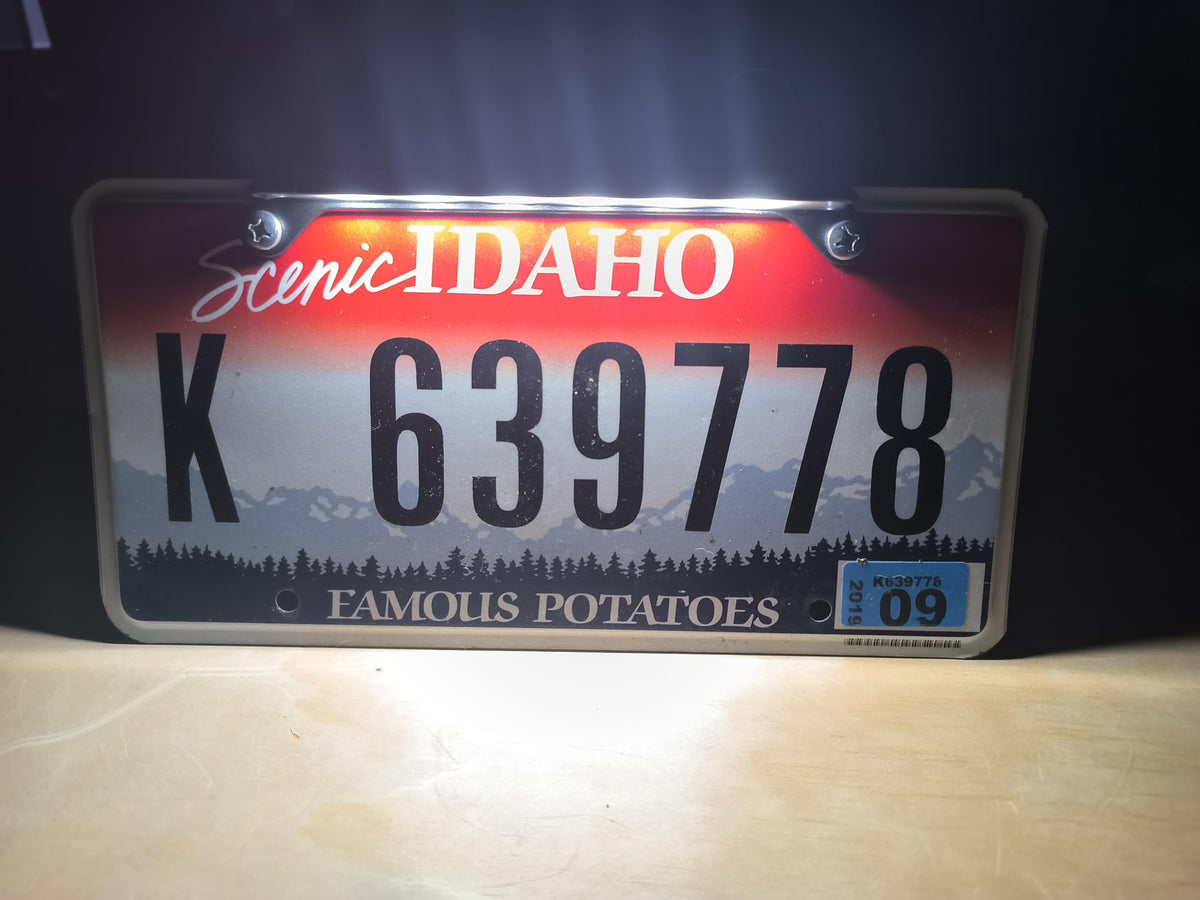 Red Flag Robotics mounted on license plate showing compact size and correct illumination