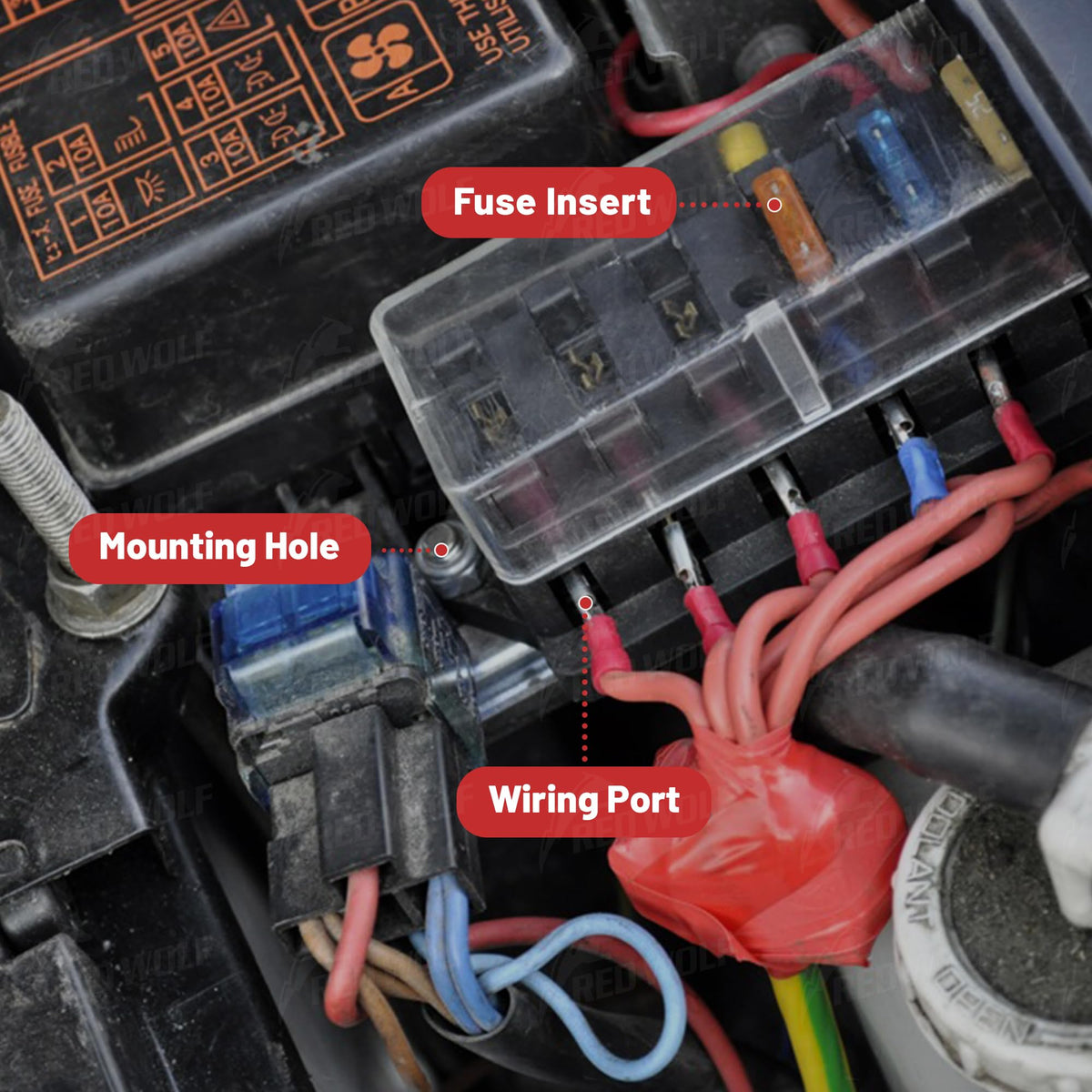RED WOLF clear damp-proof cover close-up showing protected fuses and inspection benefit