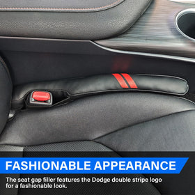 REMOCH close-up of Dodge double stripe logo adding branded style