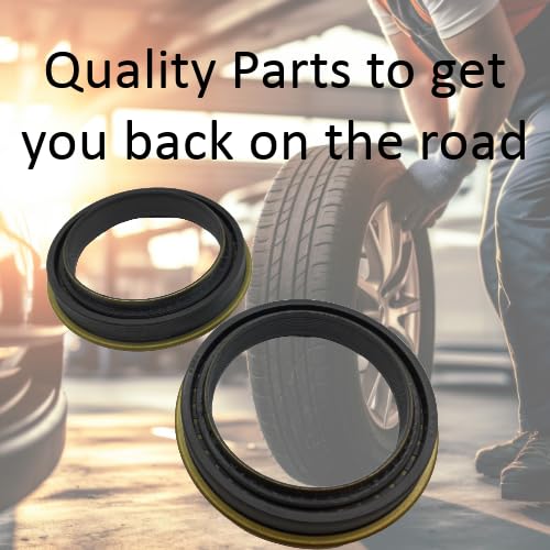 REPLACEMENTKITS.COM assortment of O-rings laid out to ensure correct fit