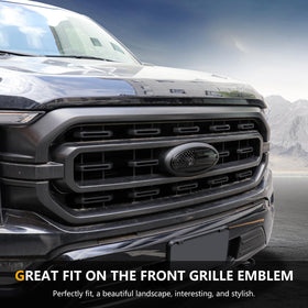 RERPRO installed on F150 front view showing cohesive look and easy upgrade benefit