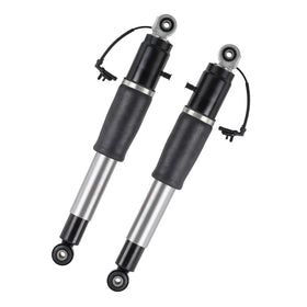 Richeer rear strut front view showing complete assembly for fast replacement