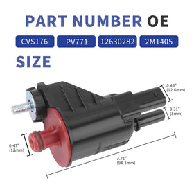 Ricmjend size comparison with ruler illustrating correct dimensions for compatibility