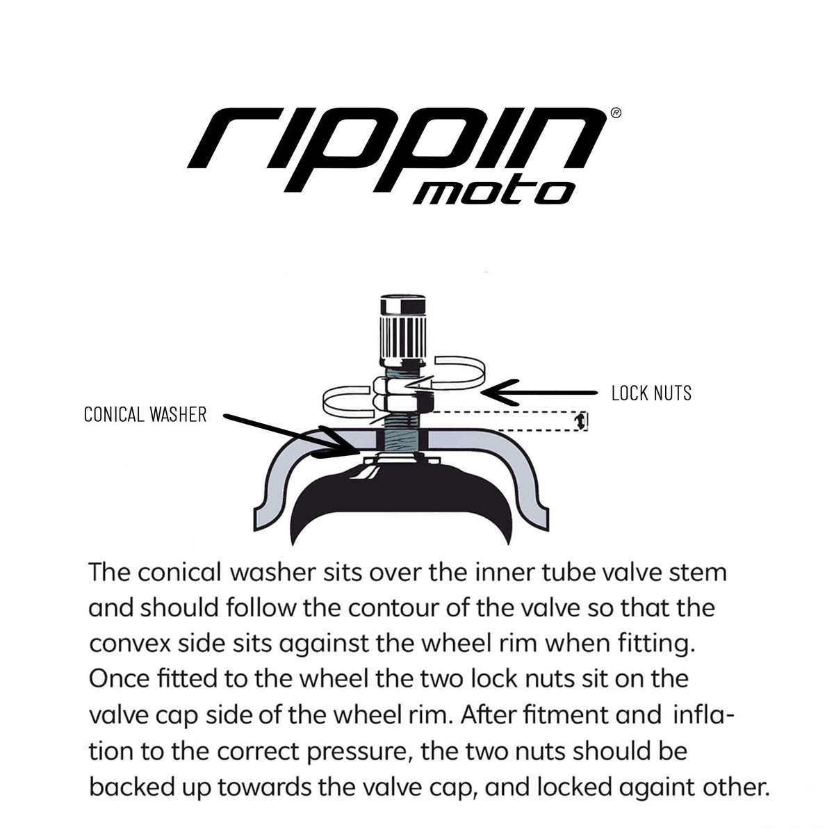 Rippin Moto label listing compatible tire sizes for correct fit