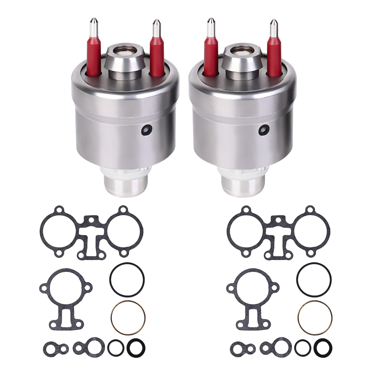 RLP front view of two injectors showing complete assembly and fitment benefit