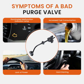 RLP purge valve near charcoal canister location aiding correct replacement