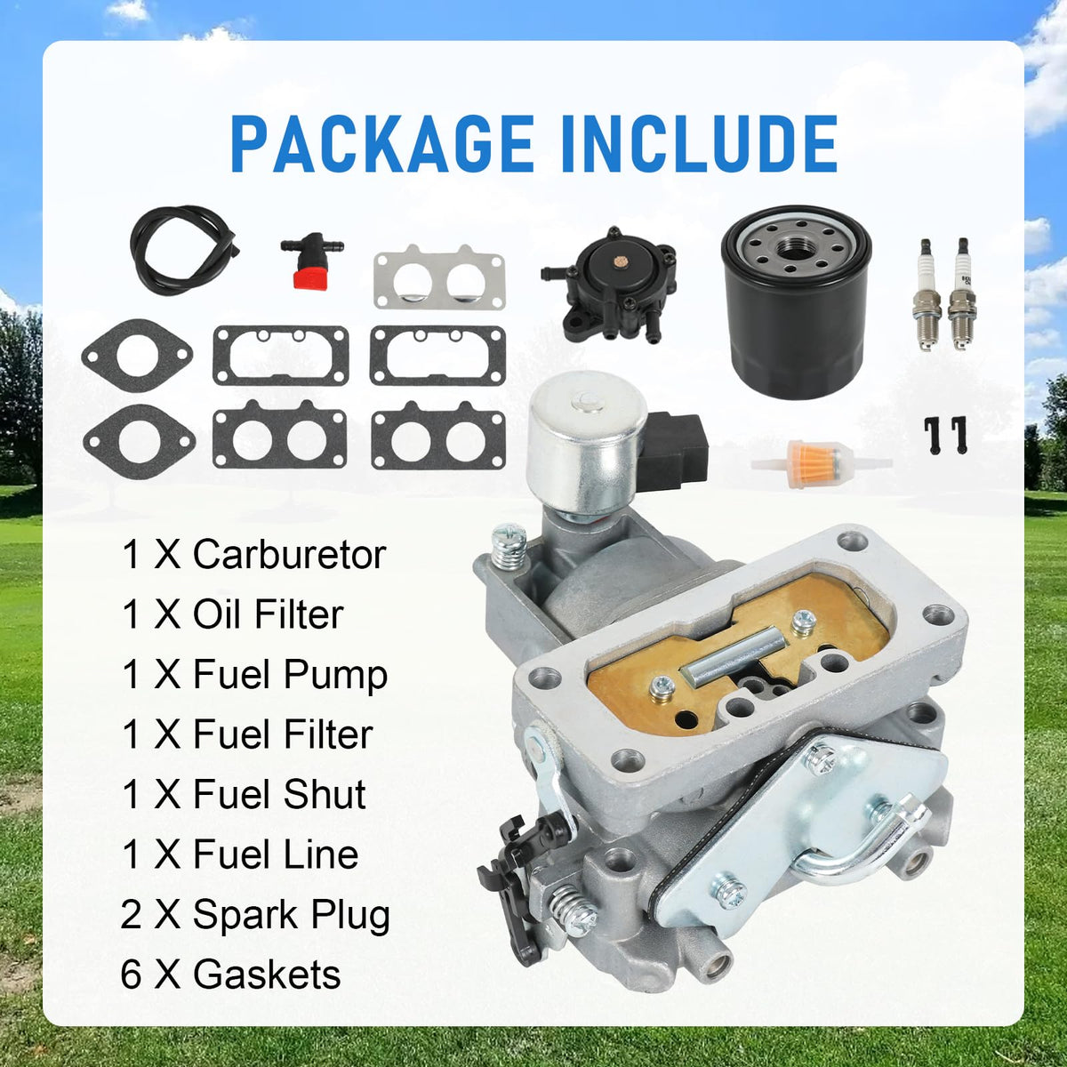 RUIANOMG full kit layout with carburetor, filters, pump and gaskets for one-stop repair