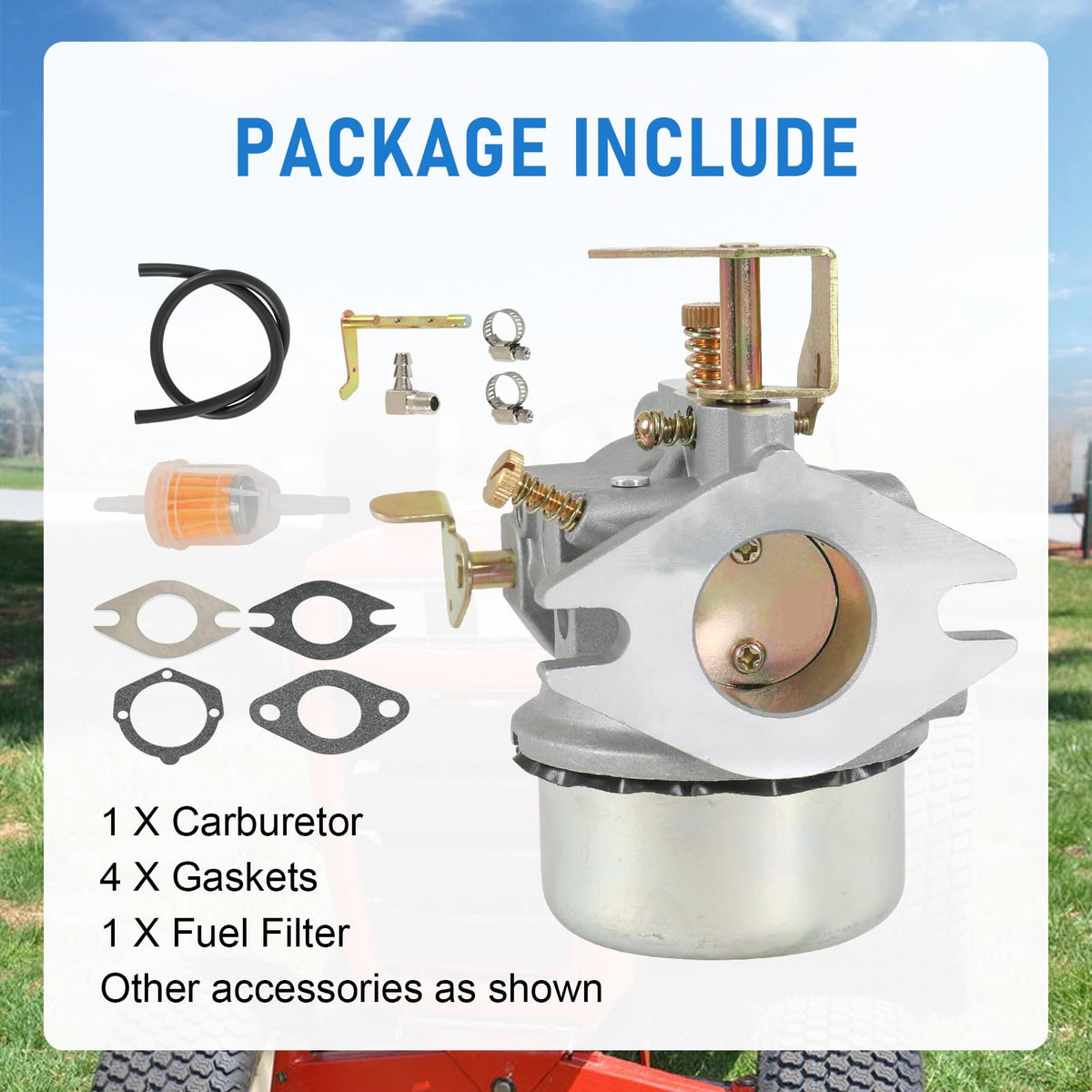 RUIANOMG carburetor kit with gaskets and accessories for complete installation