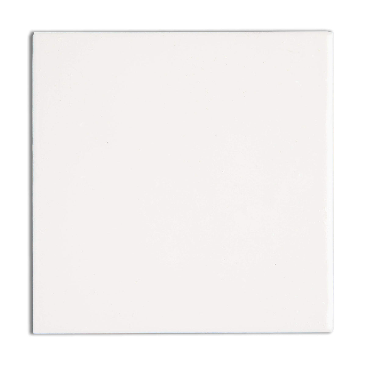 RUST BULLET WhiteShell swatch displaying true gloss white color benefit