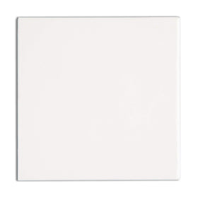 RUST BULLET WhiteShell swatch displaying true gloss white color benefit