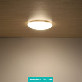 RVZONE puck lights in camper van interior creating cozy warm-light ambiance
