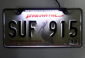 RZG installed on trailer bumper showing durable fit and reliable lighting