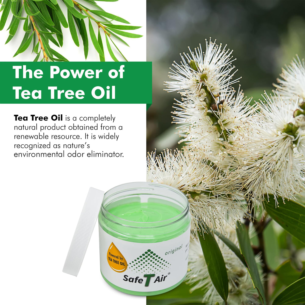 Safe T Air jar in living room with pet to show neutralizing pet odors discreetly