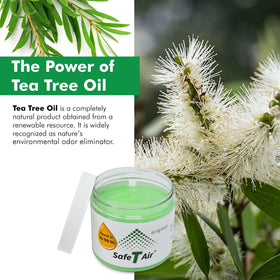 Safe T Air jar in living room with pet to show neutralizing pet odors discreetly
