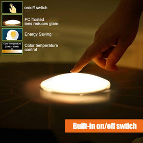 Scheinenda illuminated at 5000K daylight highlighting bright task lighting benefit
