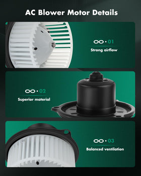 SCITOO two-wire female connector view for easy plug-in and secure connection