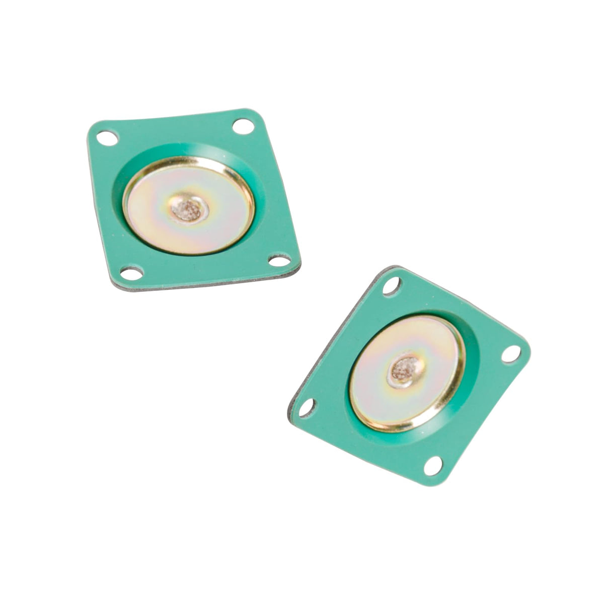SeaEagles two-piece kit laid out demonstrating you get a spare diaphragm for added maintenance convenience benefit