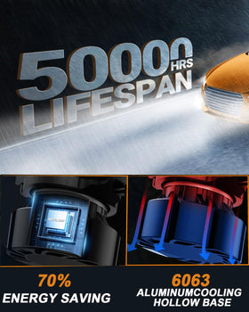 SEALIGHT installed in vehicle fog housing improving road visibility